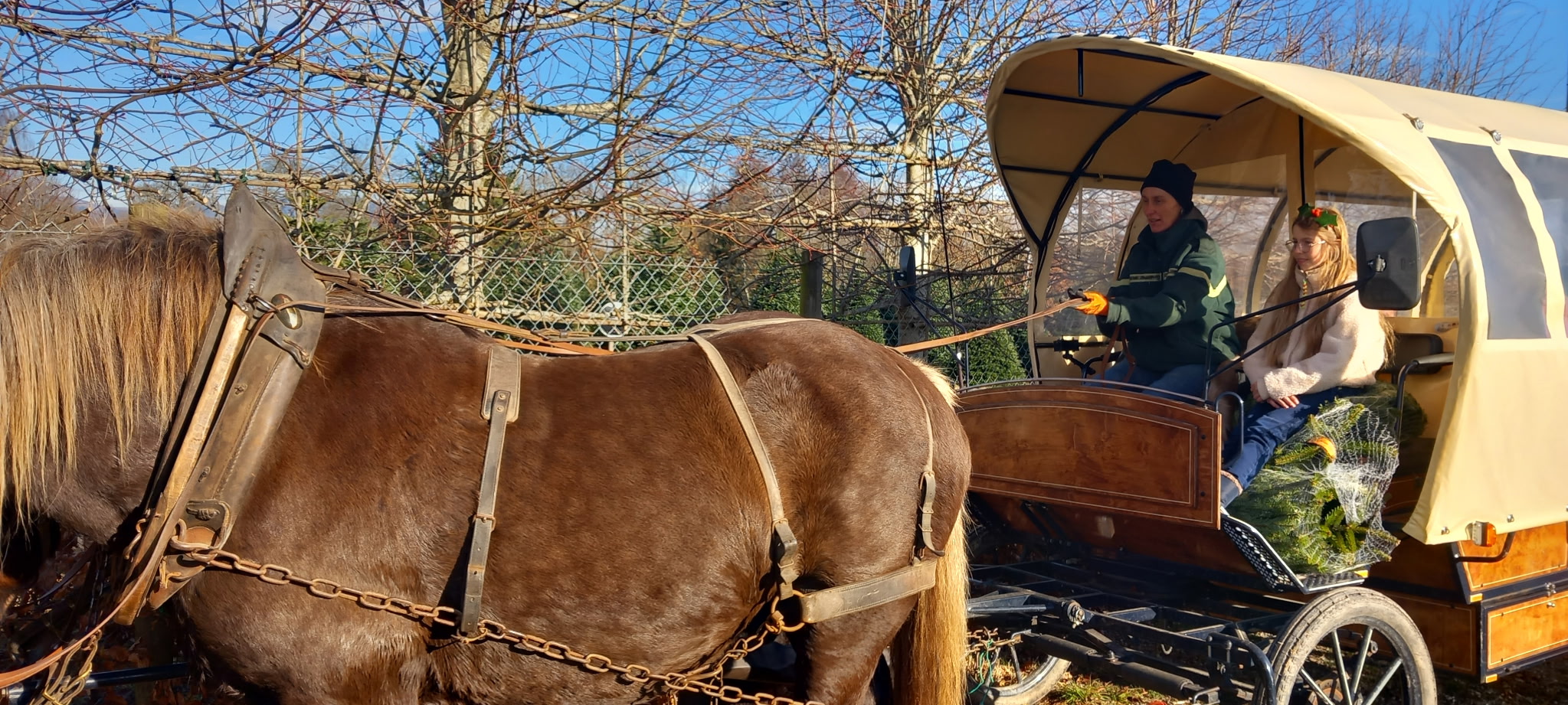 Pépinières Tschirhart - Evénements