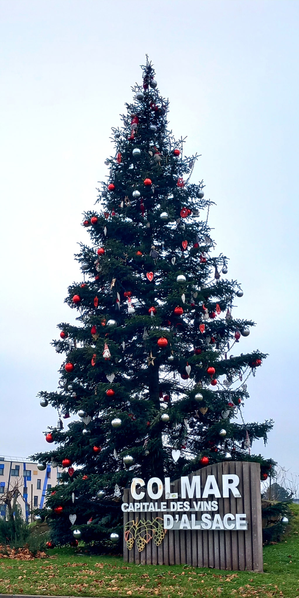 Pépinières Tschirhart - Pépinière, producteur de sapins de Noël - Haut-Rhin (Alsace)
